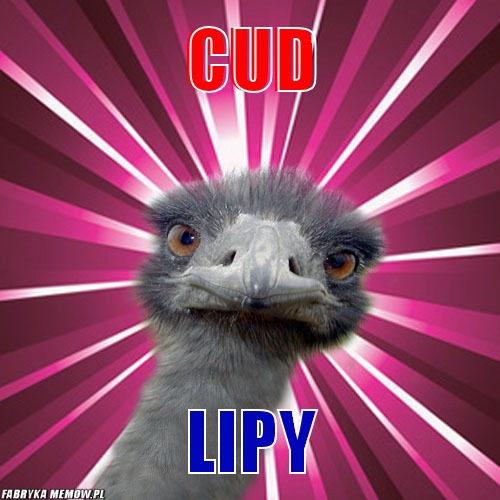 Cud – Cud Lipy