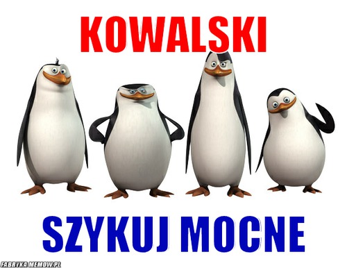 Kowalski – Kowalski szykuj Mocne