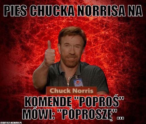 Pies Chucka Norrisa na – Pies Chucka Norrisa na komendę &quot;poproś&quot; mówi: &quot;poproszę&quot;...