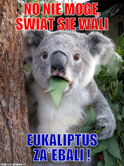 No nie mogę, świat się wali – No nie mogę, świat się wali Eukaliptus za*ebali !