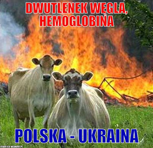 Dwutlenek węgla, hemoglobina – dwutlenek węgla, hemoglobina Polska - ukraina