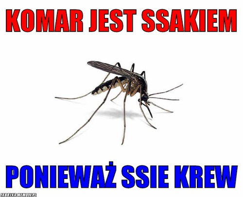 Komar jest ssakiem – komar jest ssakiem ponieważ ssie krew