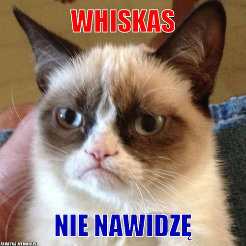Whiskas – whiskas nie nawidzę