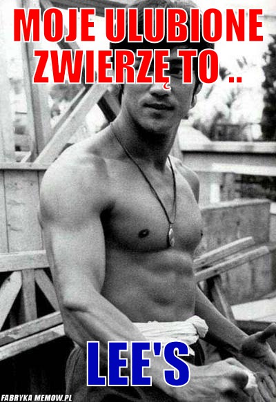 Moje ulubione zwierzę to .. – moje ulubione zwierzę to .. lee\'s
