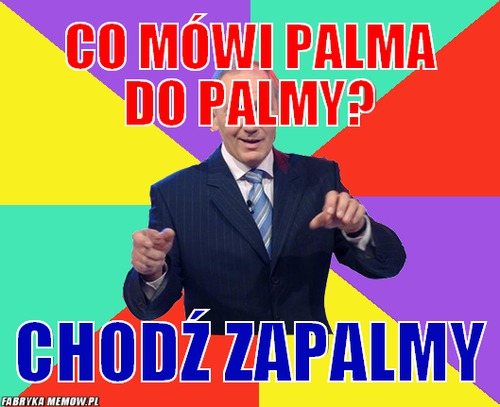 Co mówi palma do palmy? – co mówi palma do palmy? chodź zapalmy