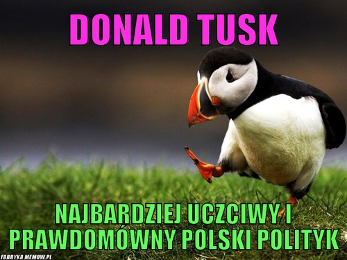 Donald tusk – donald tusk najbardziej uczciwy i prawdomówny polski polityk