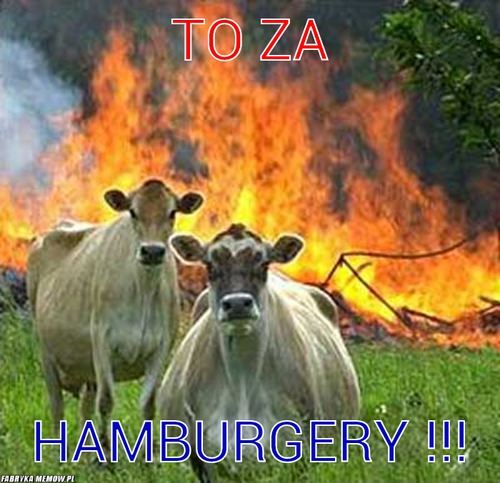 To za – To za hamburgery !!!