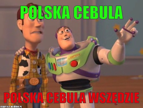 Polska cebula – Polska cebula polska cebula wszędzie