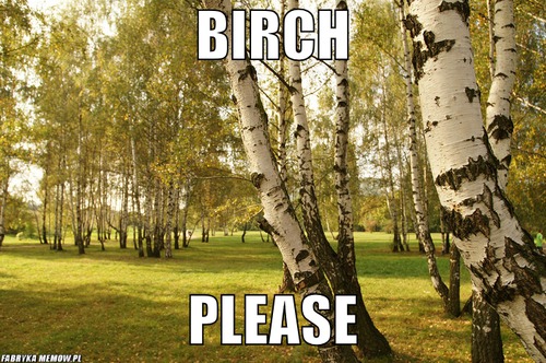 Birch – birch please