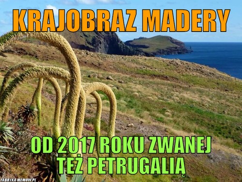 Krajobraz madery – Krajobraz madery Od 2017 roku zwanej też petrugalią
