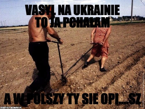 Vasyl na ukrainie to ja pchałam – vasyl na ukrainie to ja pchałam a w polszy ty sie opi....sz