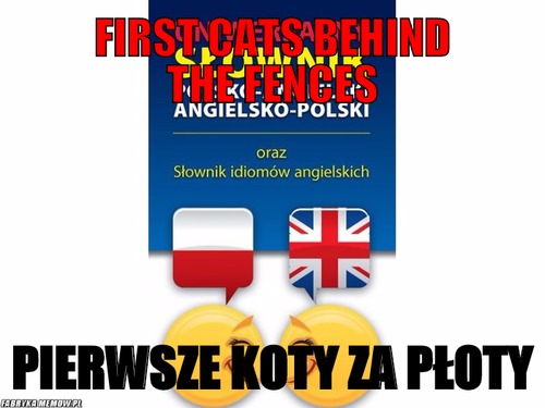 First cats behind the fences – first cats behind the fences pierwsze koty za płoty