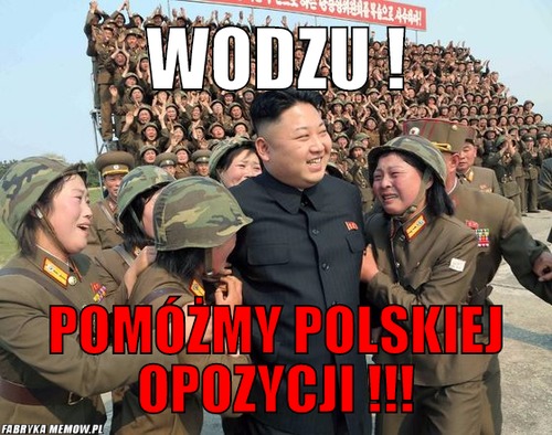 Wodzu ! – wodzu ! pomóżmy polskiej opozycji !!!