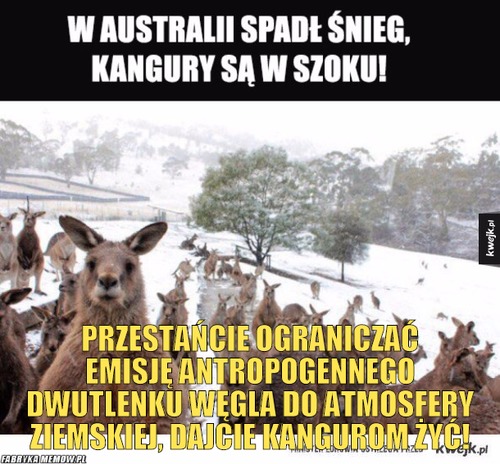  –  przestańcie ograniczać emisję antropogennego dwutlenku węgla do atmosfery ziemskiej, dajcie kangurom żyć!