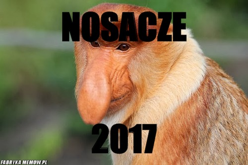 Nosacze – Nosacze 2017