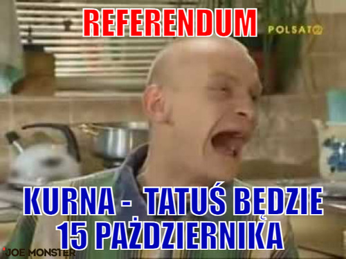 Referendum  – referendum  kurna -  tatuś będzie 15 pażdziernika 