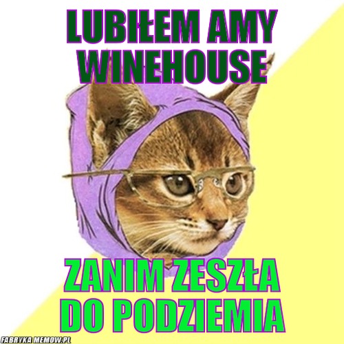 Lubiłem amy winehouse – lubiłem amy winehouse zanim zeszła do podziemia