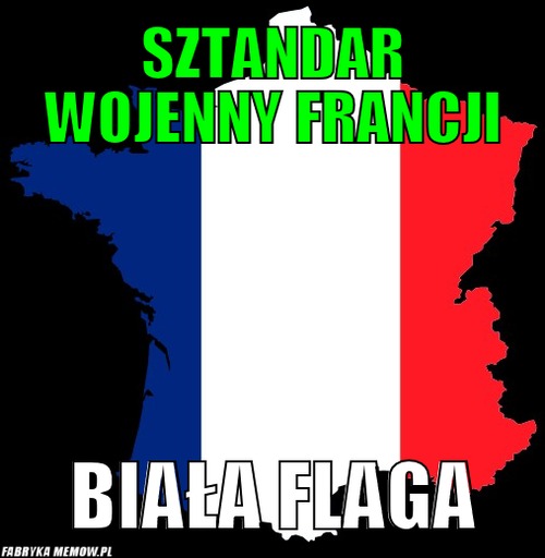 Sztandar wojenny Francji – sztandar wojenny Francji biała flaga