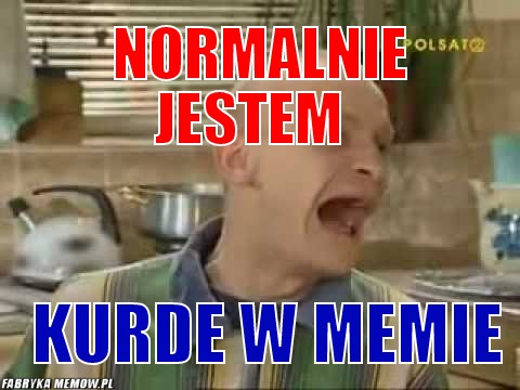 Normalnie jestem – Normalnie jestem kurde w memie