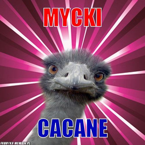 Mycki – mycki cACANE