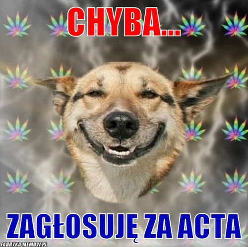 CHYBA... – CHYBA... ZAGŁOSUJĘ ZA ACTA
