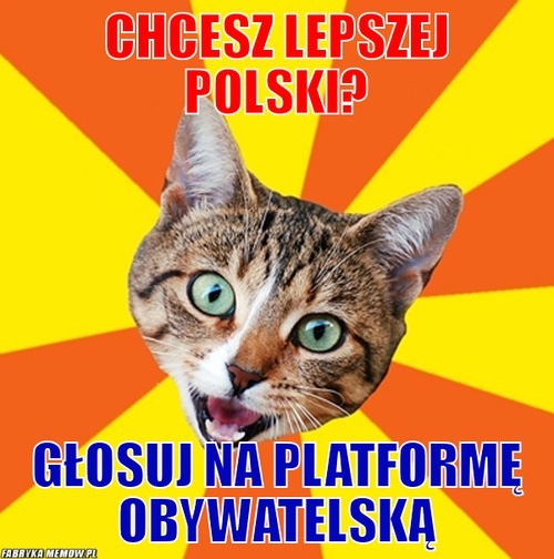 Chcesz lepszej polski? – chcesz lepszej polski? głosuj na platformę obywatelską