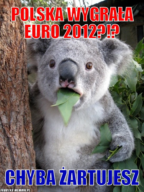 Polska wygrała euro 2012?!? – polska wygrała euro 2012?!? chyba żartujesz
