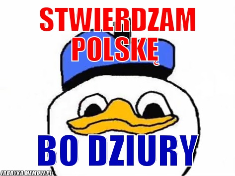 Stwierdzam polskę – stwierdzam polskę bo dziury