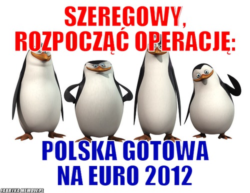 Szeregowy, rozpocząć operację: – szeregowy, rozpocząć operację: polska gotowa na euro 2012