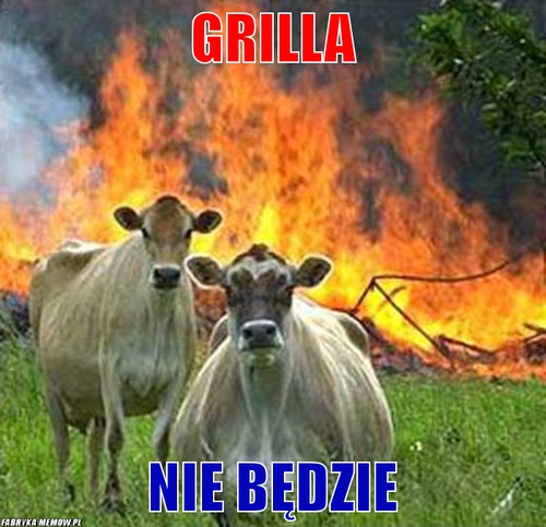 Grilla – grilla nie będzie