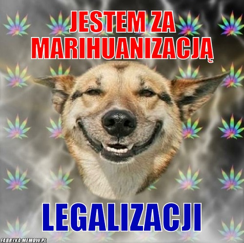 Jestem za marihuanizacją – Jestem za marihuanizacją legalizacji