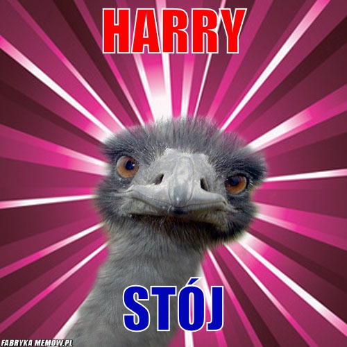 Harry – Harry Stój
