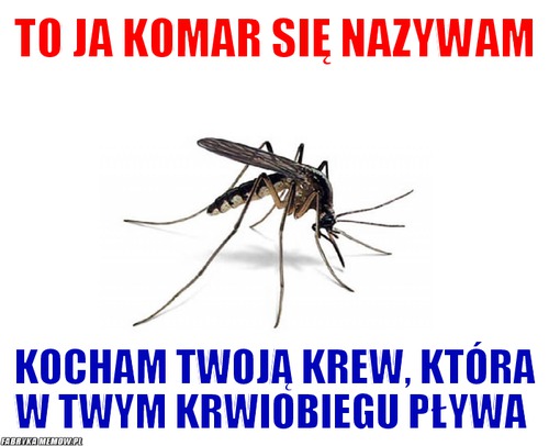 To ja komar się nazywam – To ja komar się nazywam kocham twoją krew, która w twym krwiobiegu pływa