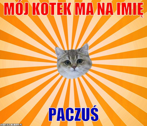 Mój kotek ma na imię – Mój kotek ma na imię Paczuś