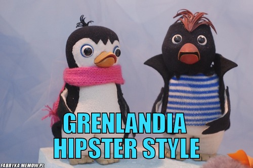  –  Grenlandia  hipster style