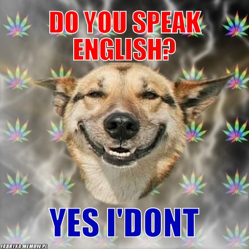 Do you speak english? – do you speak english? yes i\'dont
