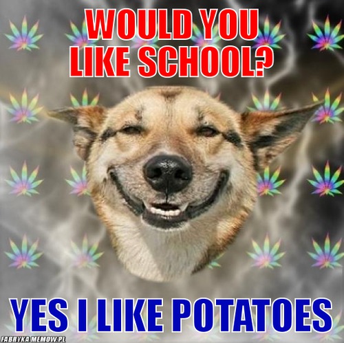 Would you like school? – Would you like school? yes i like potatoes