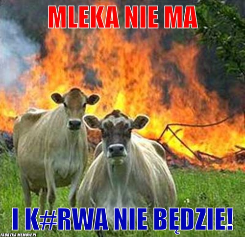 Mleka nie ma – mleka nie ma i k#rwa nie będzie!