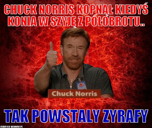 Chuck Norris kopnął kiedyś konia w szyję z półobrotu.. – Chuck Norris kopnął kiedyś konia w szyję z półobrotu.. TAK powstaly zyrafy