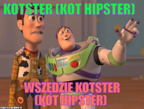Kotster (kot hipster) – Kotster (kot hipster) wszędzie Kotster (kot hipster)