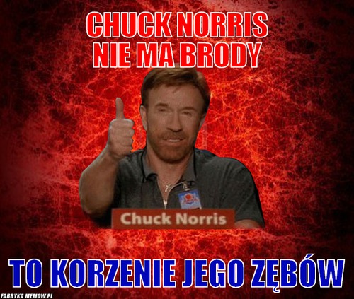 Chuck norris nie ma brody – chuck norris nie ma brody to korzenie jego zębów