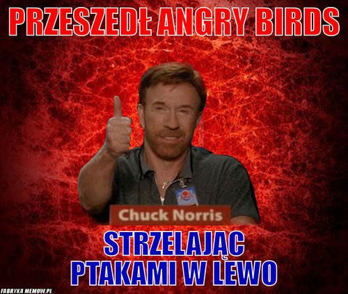 Przeszedł Angry Birds – Przeszedł Angry Birds Strzelając ptakami w lewo