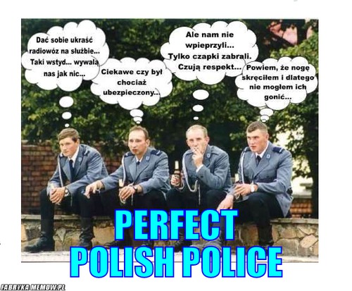  –  perfect polish police