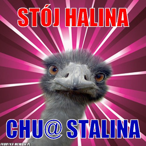 Stój halina – stój halina chu@ stalina