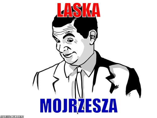 Laska – Laska Mojrzesza