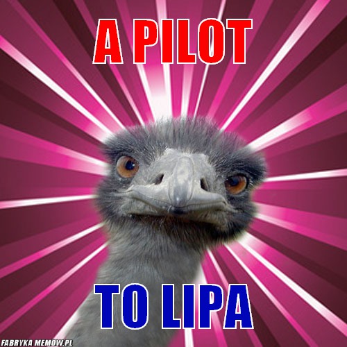 A pilot – A pilot to lipa