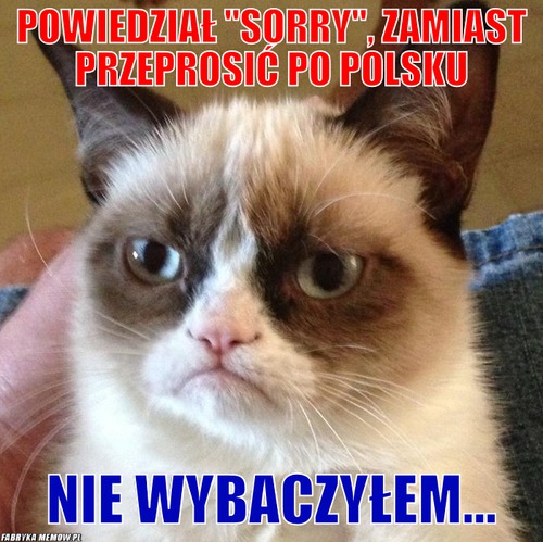 Powiedział &quot;sorry&quot;, zamiast przeprosić po polsku – powiedział &quot;sorry&quot;, zamiast przeprosić po polsku nie wybaczyłem...