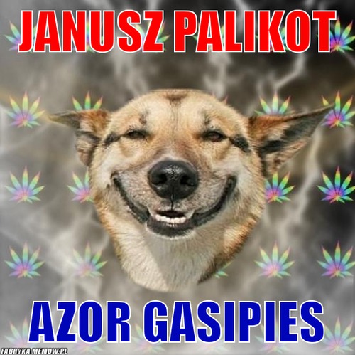 Janusz palikot – Janusz palikot azor gasipies