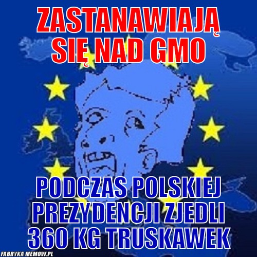 Zastanawiają się nad gmo – zastanawiają się nad gmo podczas polskiej prezydencji zjedli 360 kg truskawek
