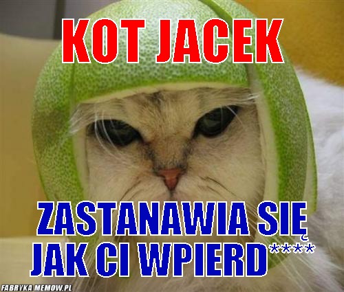 Kot Jacek – Kot Jacek Zastanawia się jak ci wpierd****
